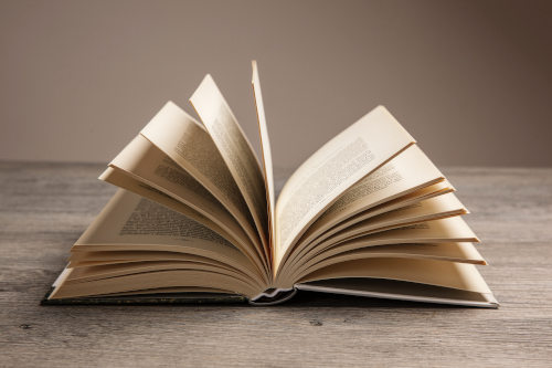 Žánr historického románu v české literatuře